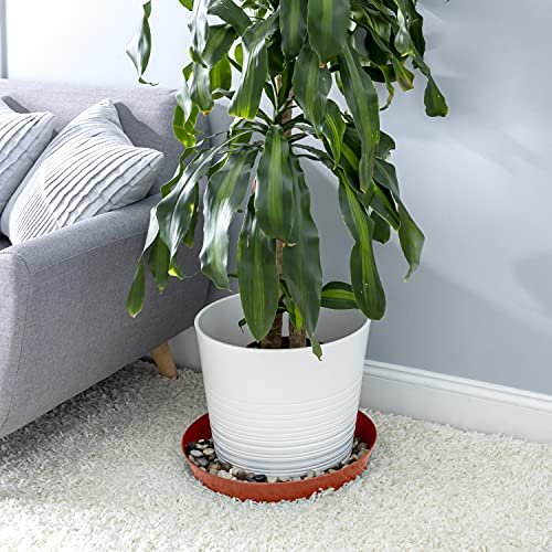 Austin Planter Saucers - Terra Cotta Colored Tray and Drip Pan