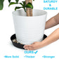 Austin Planter Saucers, Black Tray and Drip Pan