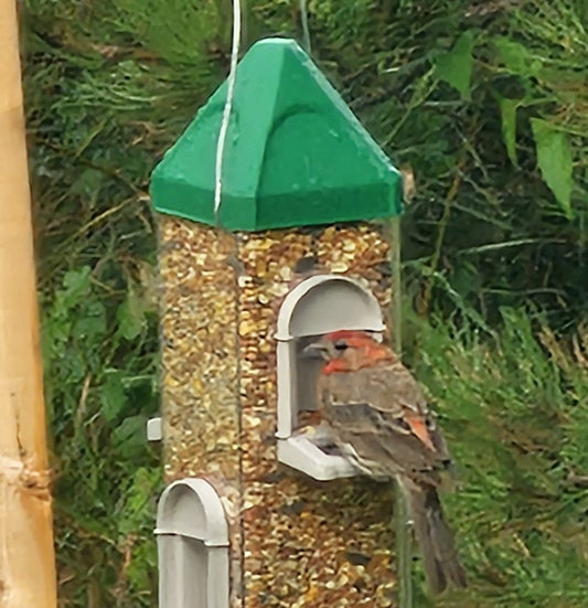 Austin Planter Bird Feeder with 6 Feeding Ports for Outdoors Hanging
