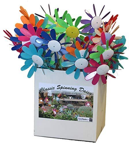Austin Planter Classic Spinning Daisies for Patio, Lawn & Garden