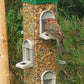 Austin Planter Bird Feeder with 6 Feeding Ports for Outdoors Hanging
