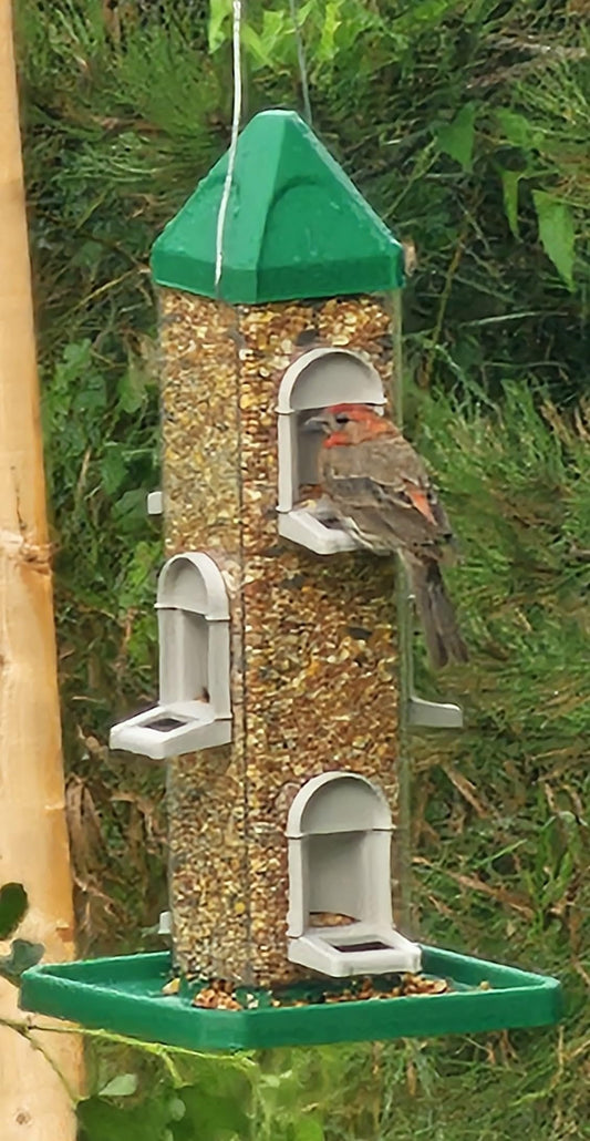 Austin Planter Bird Feeder with 6 Feeding Ports for Outdoors Hanging