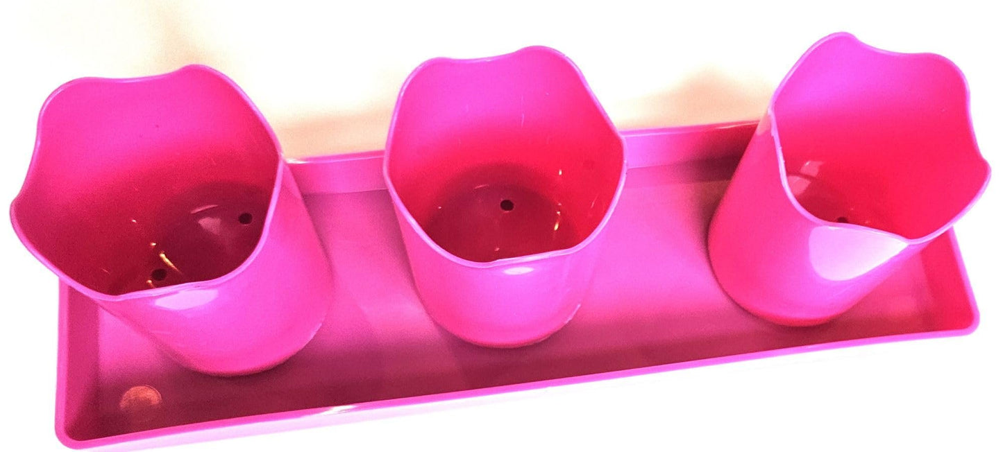 Austin Planter Plastic Flower Pot with Saucer less than 6 inch