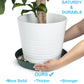 Austin Planter Saucers, Hunter Green Tray and Drip Pan,