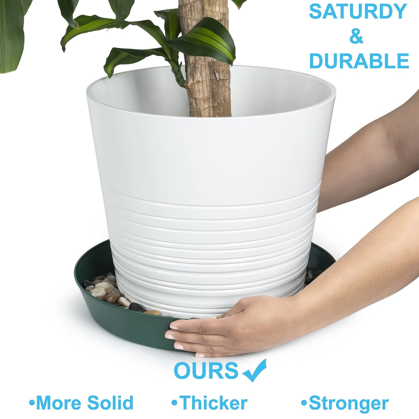 Austin Planter Saucers, Hunter Green Tray and Drip Pan,