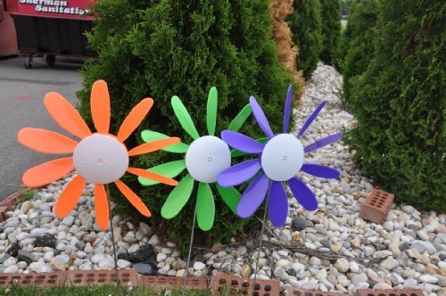 Austin Planter Classic Spinning Daisies for Patio, Lawn & Garden