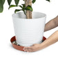 Austin Planter Saucers - Terra Cotta Colored Tray and Drip Pan
