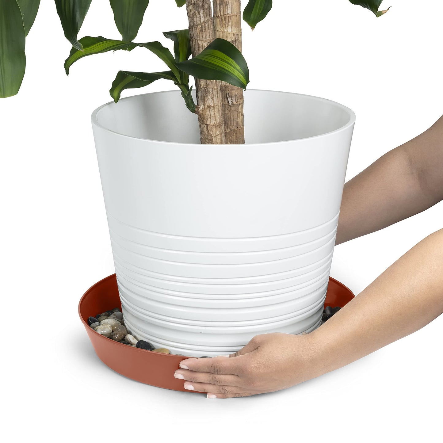 Austin Planter Saucers - Terra Cotta Colored Tray and Drip Pan