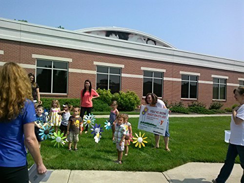 Austin Planter Classic Spinning Daisies for Patio, Lawn & Garden