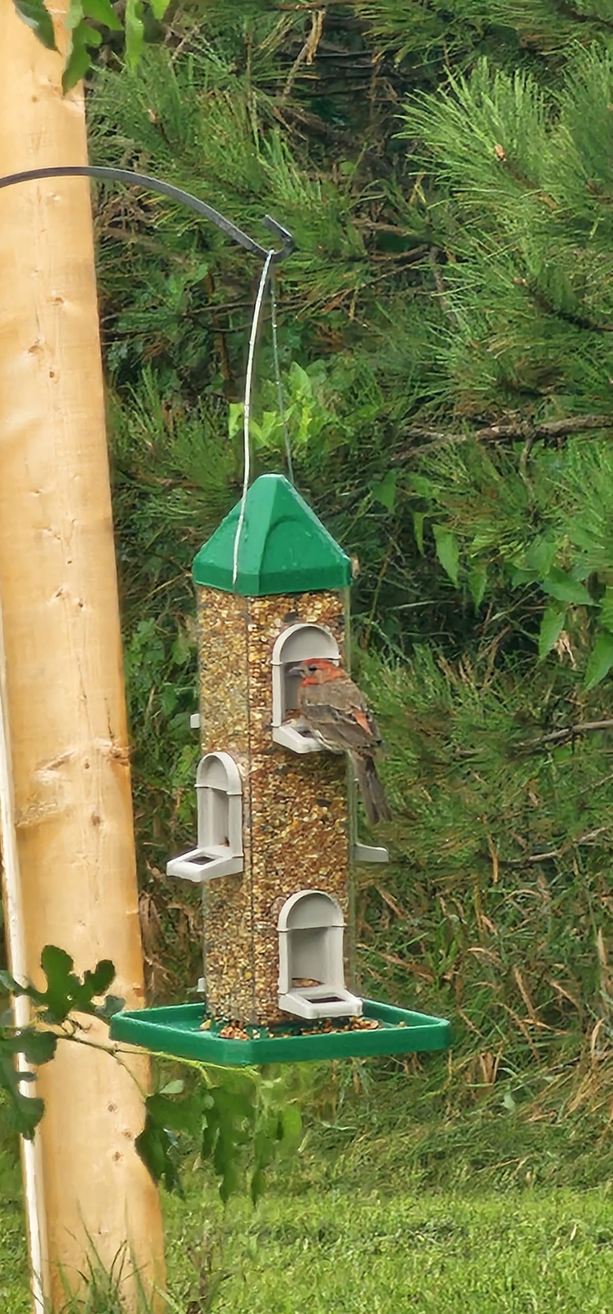 Austin Planter Bird Feeder with 6 Feeding Ports for Outdoors Hanging