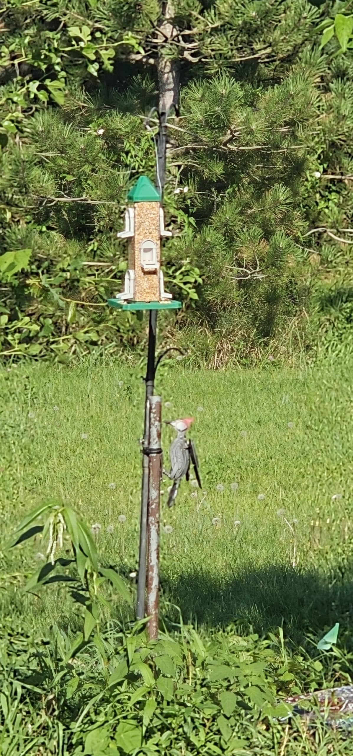 Austin Planter Bird Feeder with 6 Feeding Ports for Outdoors Hanging